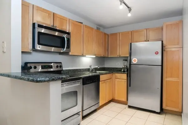 655 W IRVING PARK RD #4011, Chicago, IL 60613