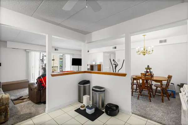 6248 S Gullikson RD #2E, Chicago, IL 60638