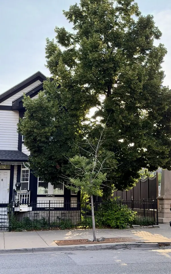 Address Not Disclosed
