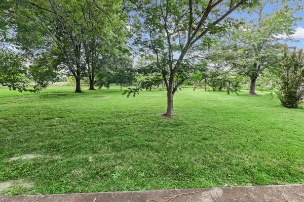 3275 Selmaville RD, Salem, IL 62881