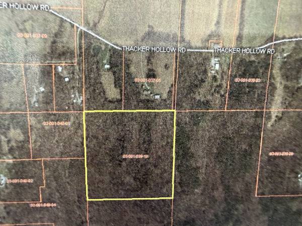 000 Thacker Hollow RD, Junction, IL 62954