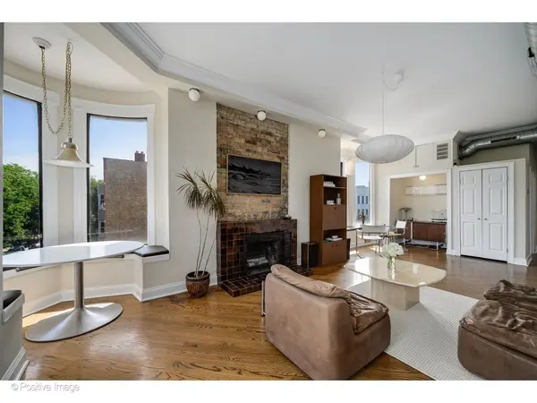 1135 W Webster AVE #3, Chicago, IL 60614