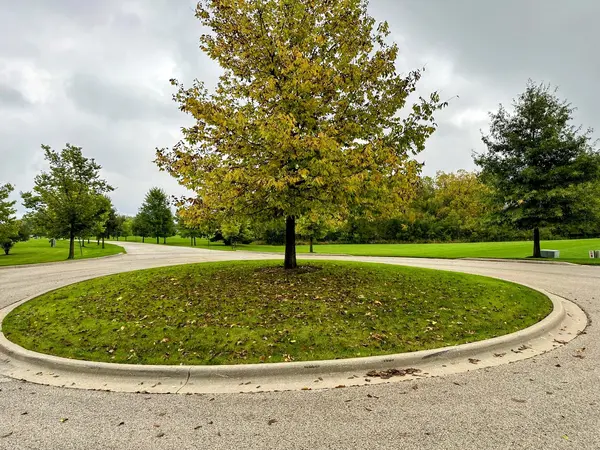 14942 W Concord CT, Wadsworth, IL 60083