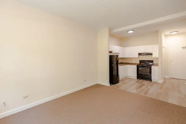 4752 S Wabash AVE #106, Chicago, IL 60615