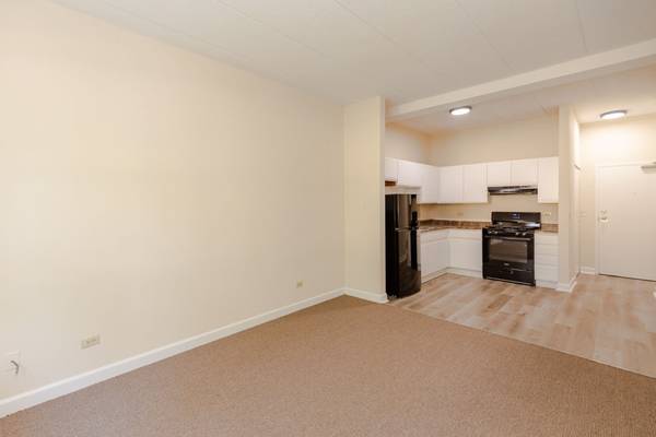 4752 S Wabash AVE #106, Chicago, IL 60615