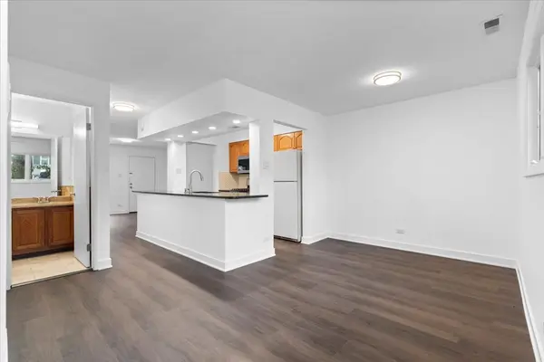 974 S Park TER, Chicago, IL 60605
