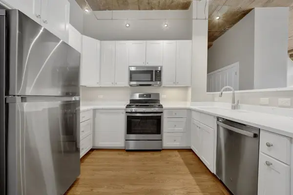 1071 W 15th ST #109, Chicago, IL 60608