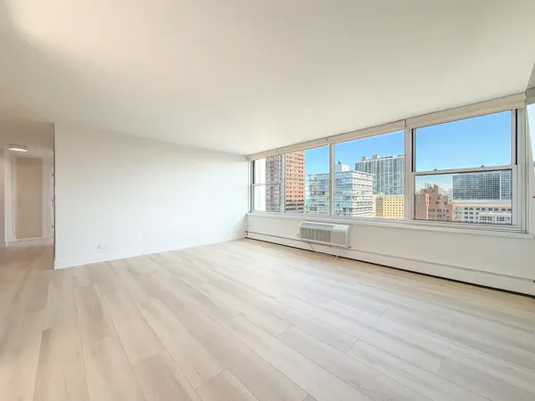 336 W Wellington AVE #1901, Chicago, IL 60657