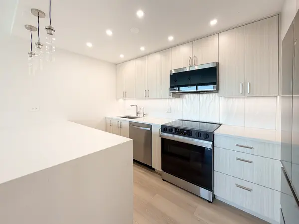 336 W Wellington AVE #1901, Chicago, IL 60657