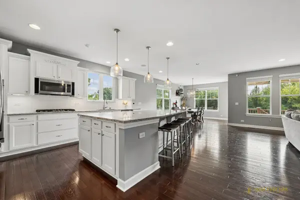 23641 N Sanctuary Club DR, Kildeer, IL 60047