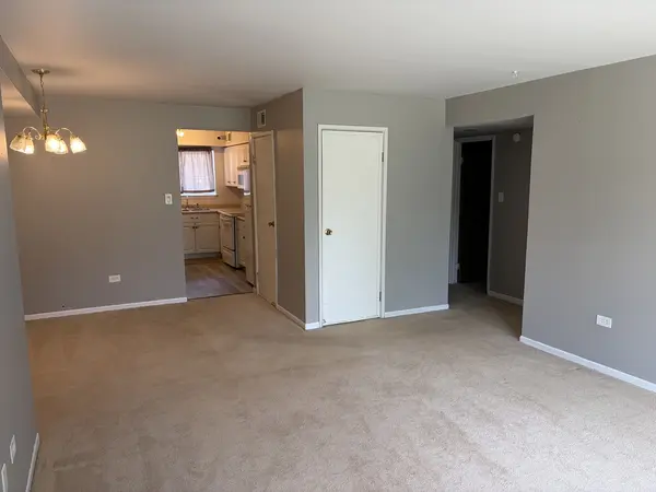 9428 Bay Colony DR #1S, Des Plaines, IL 60016