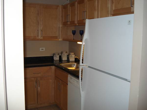 211 E OHIO ST #2218, Chicago, IL 60611