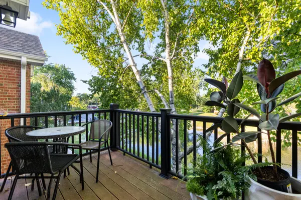 1344 McDowell RD #201, Naperville, IL 60563