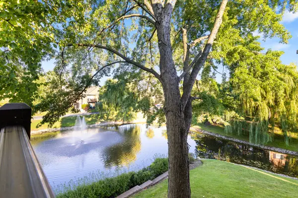 1344 McDowell RD #201, Naperville, IL 60563