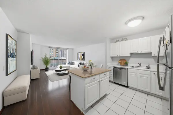 545 N Dearborn ST #W1703, Chicago, IL 60654
