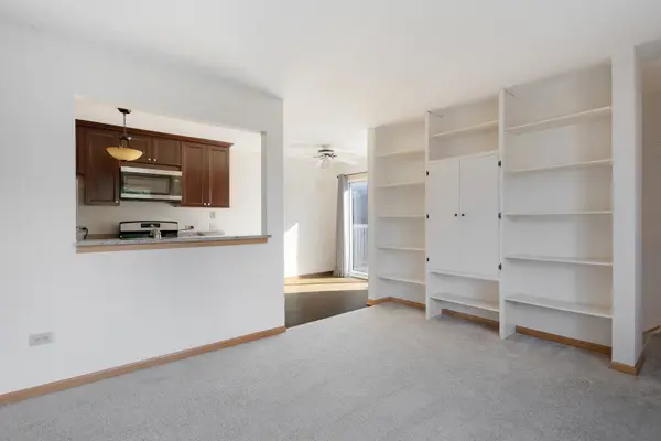 717 Whitesail DR #717, Schaumburg, IL 60194