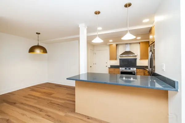 406 Franklin AVE #1B, River Forest, IL 60305