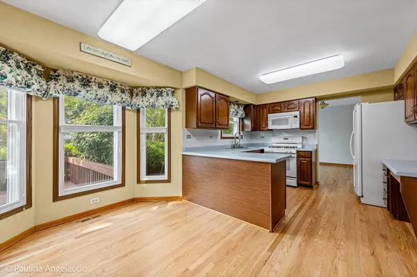 1408 Village CT, Buffalo Grove, IL 60089