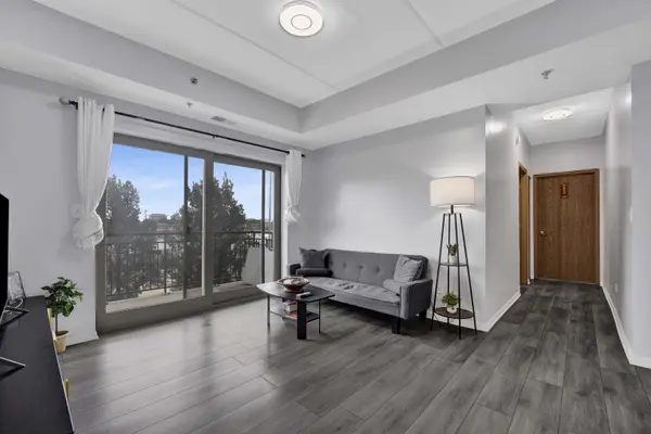 2322 S Canal ST #411, Chicago, IL 60616