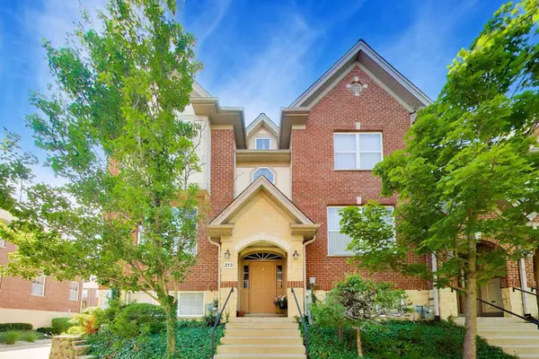 213 River Front DR #213, Mount Prospect, IL 60056