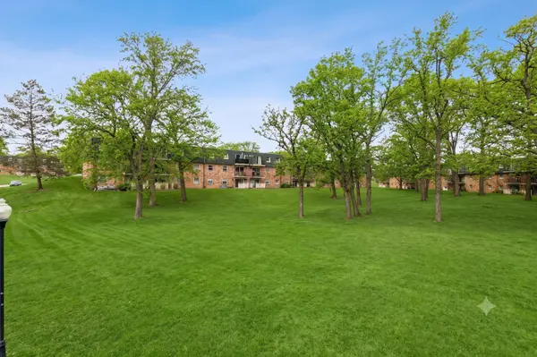 10041 S Walnut TER #31-307, Palos Hills, IL 60465