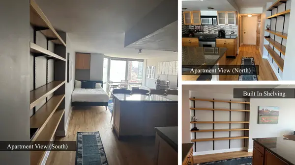 21 W Goethe ST #17H, Chicago, IL 60610