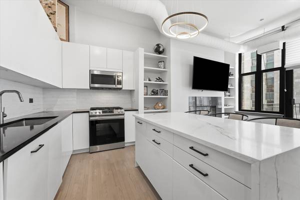 333 W Hubbard ST #1010, Chicago, IL 60654