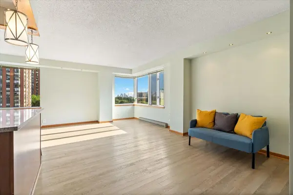 801 S PLYMOUTH CT #620, Chicago, IL 60605