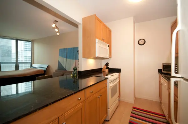 400 N LaSalle BLVD #2203, Chicago, IL 60654