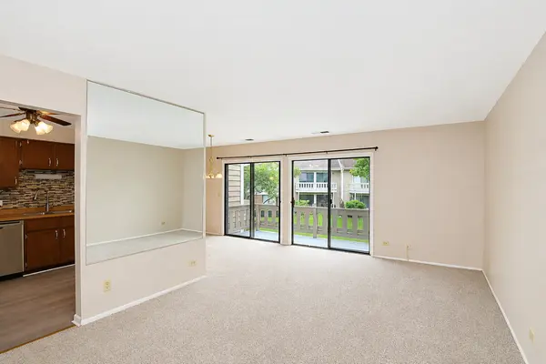 275 Kings Mill CT #C2, Schaumburg, IL 60193