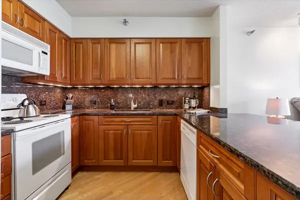 512 N MCCLURG CT #4309, Chicago, IL 60611