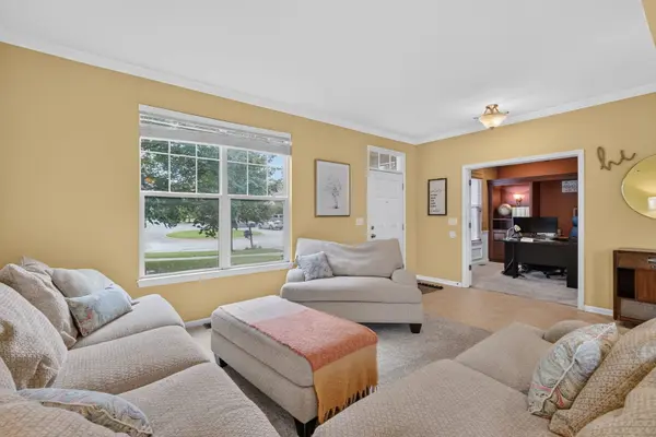 26602 Grande Poplar CT, Plainfield, IL 60585
