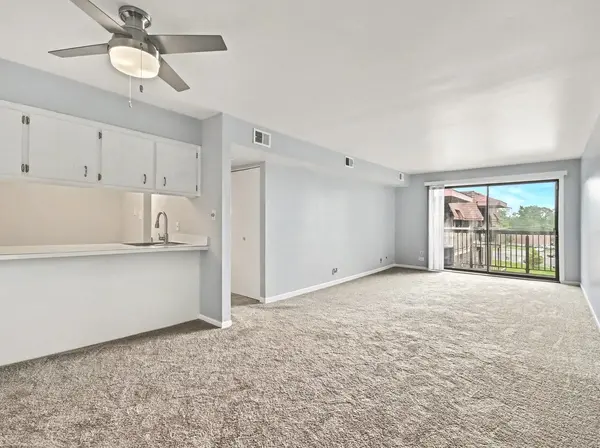 830 Elder RD #406, Homewood, IL 60430