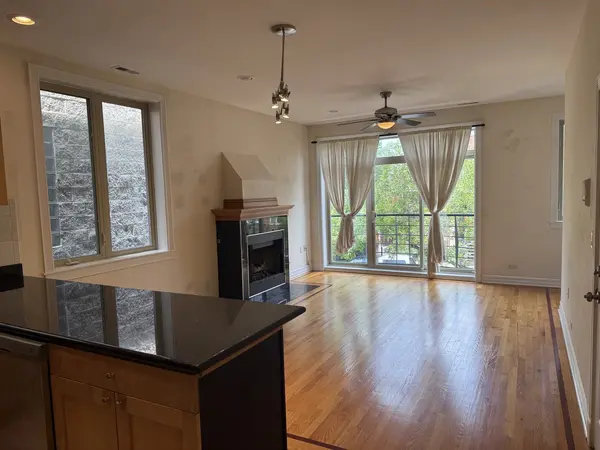 2645 W Haddon AVE #2, Chicago, IL 60622