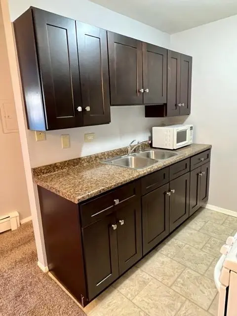848 Jonathan CT #204, Prospect Heights, IL 60070