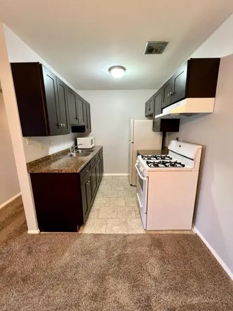848 Jonathan CT #204, Prospect Heights, IL 60070