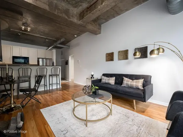 1070 W 15th ST #309, Chicago, IL 60608