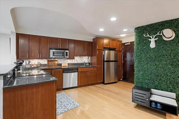 300 N State ST #3206, Chicago, IL 60654