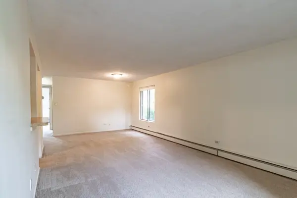 1004 Centurion LN #4, Vernon Hills, IL 60061