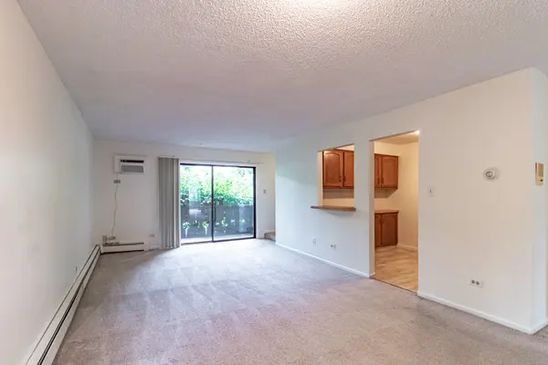 1004 Centurion LN #4, Vernon Hills, IL 60061