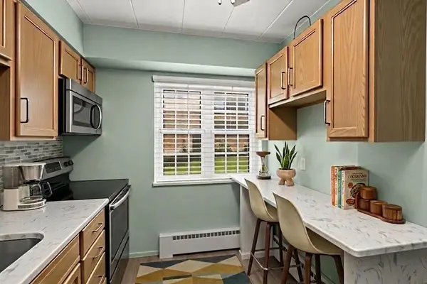 1445 W Touhy AVE #9A, Park Ridge, IL 60068