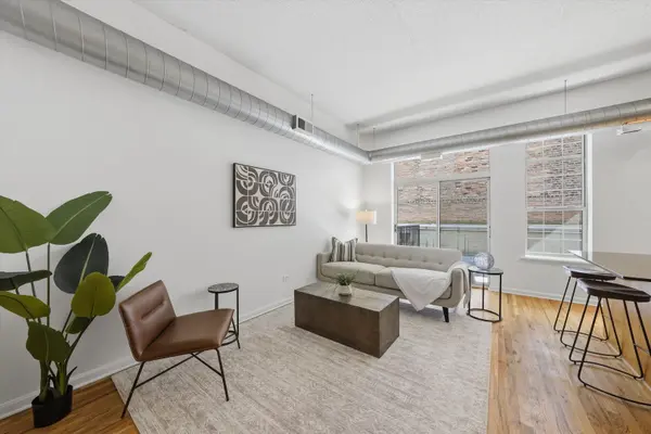1919 S Michigan AVE #208, Chicago, IL 60616