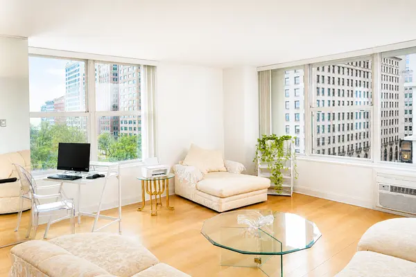 1000 N Lake Shore DR #809, Chicago, IL 60611