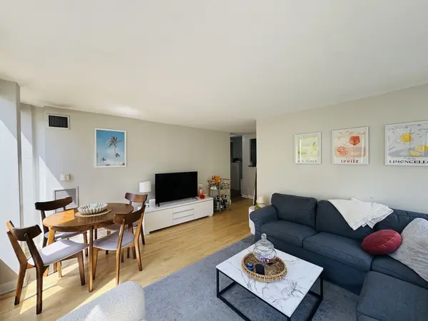 100 E Walton ST #14F, Chicago, IL 60611