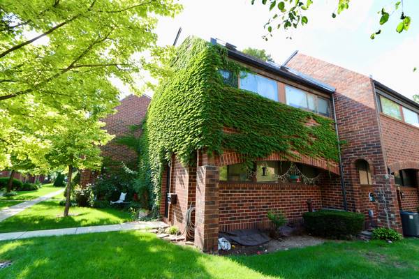 841 S Racine AVE #C, Chicago, IL 60607