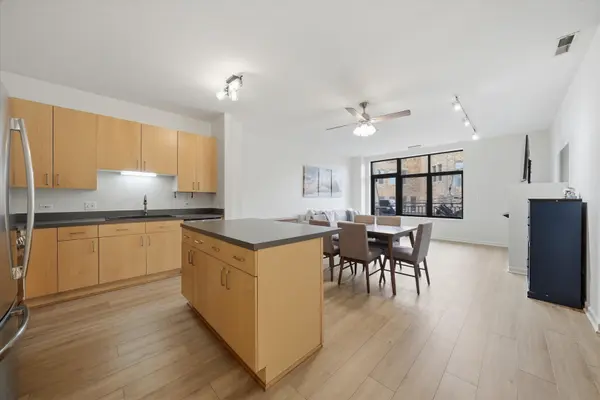 2045 W Concord PL #307, Chicago, IL 60647
