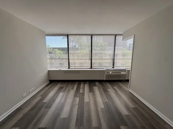 4800 S Chicago Beach DR #308S, Chicago, IL 60615