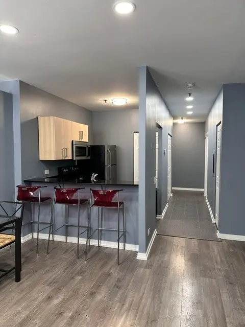 680 S Federal ST #909, Chicago, IL 60605