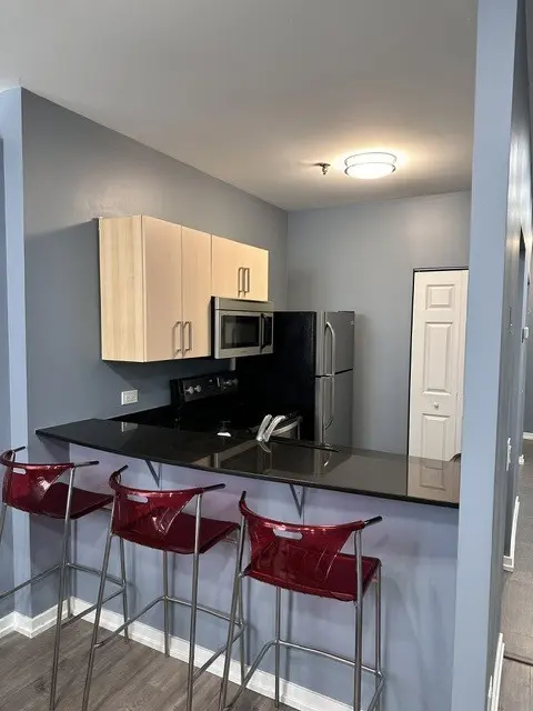 680 S Federal ST #909, Chicago, IL 60605