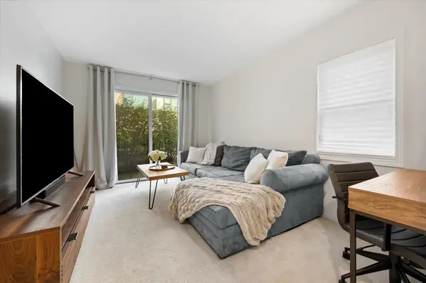 1351 W Altgeld ST #3B, Chicago, IL 60614